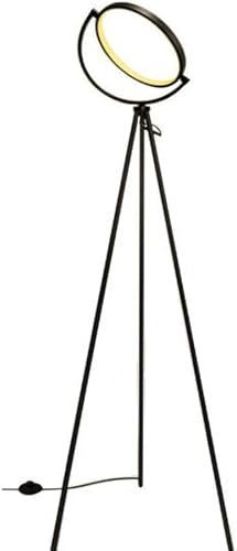 HomeRoots 482740 60 in. Black LED Tripod Color Changing Floor Lamp with Globe