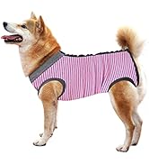 術後ウェア 傷口保護 傷舐め防止 ボタンタイプ クリスマス レッド