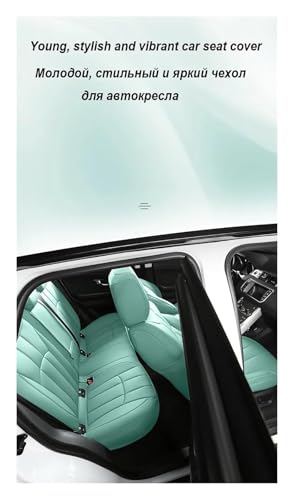Accessoires coussin support auto pour BMW X5 E53 cuir rose 2004