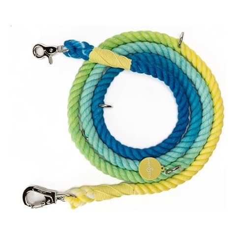 The Lucy & Co. Bolt of Energy Ombre Hands-Free 6-in-1 Rope Leash Cover