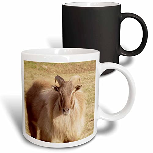 3dRose Himalayan Mountain Goat 11oz Magic Transforming Mug