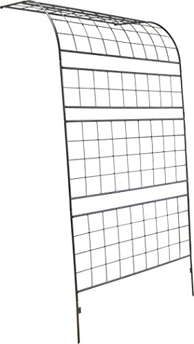 K[fK[f O[J[e⃍[YtFX tLVu EH[tFX Ch n[tA[` 110cm×228cm n}[g[Vo[ gX WAF-1100ARCH-SLV