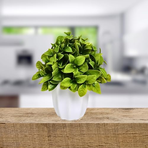 Image of fancymart Artificial Citrus Leaves Green Bunch in Pot - 22 cm Height, Perfect for Tabletop Decoration | Ideal for Home & Office Decor