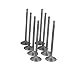 Diamond Power Intake Valve Set works with Chrysler Cirrus Dodge Neon Stratus Plymouth Breeze Neon 2.0L L4 SOHC