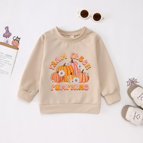 Halloween Bell Bottoms Outfit Toddler Baby Farm Fresh Pumpkin Sweatshirt Crewneck Long Sleeve Pullover + Flare Pants4