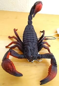 Amazon.co.jp: サソリ フィギュア キーホルダー ストラップ