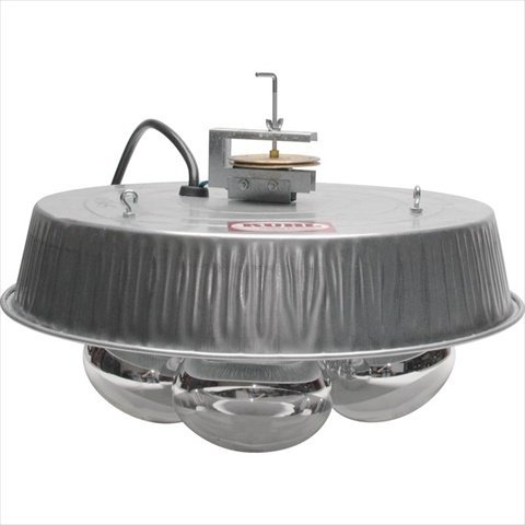 Four-Light Infrared Brooder