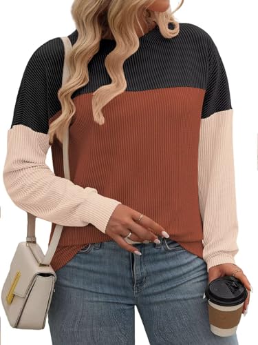 Image of DOLNINE Plus Size Tops for Women Long Sleeve Color Block Ribbed Knit Tunic