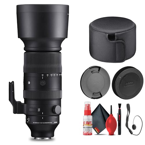 Sigma 60-600mm f/4.5-6.3 DG DN OS �X�|�[�c�����Y Sony E�p 10�{�Y�[�� �I�[�g�t�H�[�J�X ���w���艻 �v���X�`�b�N����ы����\�� Sony E�}�E���g