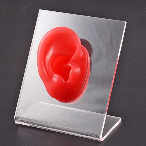 GatherTOOL 1 Stück Silikonohrmodell mit klarem Bord Professional Praxis Piercings Tools Ohrringdisplay kann for Schmuck wiederverwendet Werden (Metal Color : Red Right) Cover