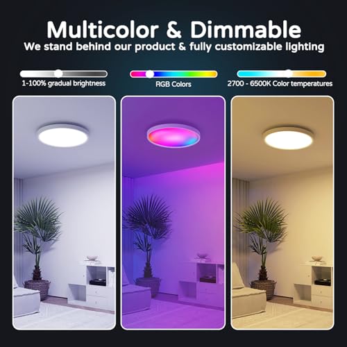 Consejos y reviews para comprar Plafones inteligentes control remoto - solo los mejores. 23 Imagen adicional
