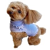 Panfree Pancia Souffle 着るはらまき Sサイズ レギュラー [女の子用] ネイビー ペット用 犬用 ドッグウェア 冷え防止 犬服 小型犬 猫 服 伸びる 犬の服 ドッグシャツ ペット服 腹巻き 日本製