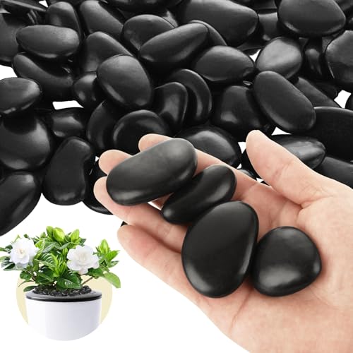 ABuff 10lbs Black Rocks for Planters 1\"-2\" Natural Decorative River Pebbles Black Polished Pebbles for Plants Garden Decorative Stones for Outdoor Landscaping, Plants, Vase Filler Fish Tank Aquariums
