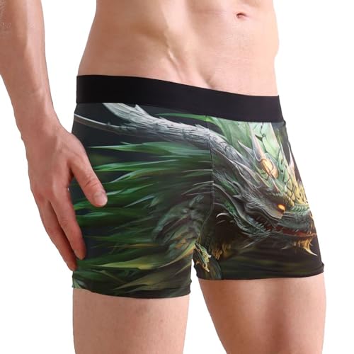 Green Dragon Men's Boxer Briefs S 202a54514