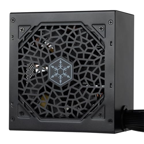Alimentation électrique ATX 80 Plus Bronze 650W Silverstone 3.1 - 2