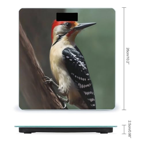 Báscula digital para baño con pantalla LCD 400lb miniatura 2