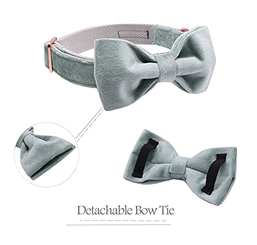 ARING PET Collare per cani in velluto, grazioso