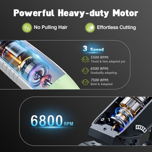Image of Dog Grooming Kit, Dog Clippers for Grooming for Thick Heavy Curly Coats, Professional Pet Paw Trimmer with Nail Grinder Low Noise Rechargeable Stainless Steel Hair Trimmer for Dogs Cats