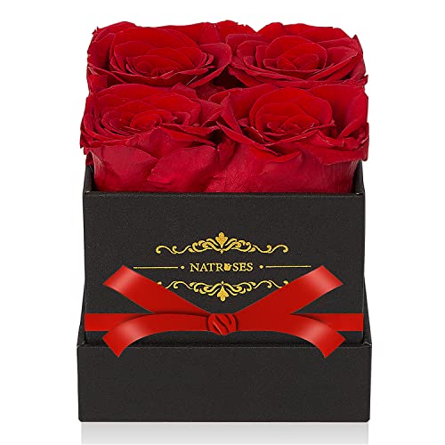 Natroses Red Preserved Roses In A Box That Last Up To 3 Years, Long Lasting Roses Gifts For Her,Valentines Day Gifts, (Red) #TOP10