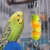 Bird Cage Food Holder Parrot Fruit Vegetable Skewer Bird Cage Feeder Foraging Toy for Parakeet Budgie Macaw #4