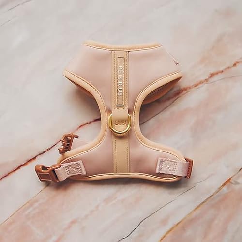 Dog Harness Beige Gold Neoprene Leather Design Sport Small Medium Large Dog Cat No Pull Breathable Lightweight Pet Cat Soft Padded Gift (Xs) #TOP5