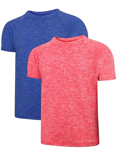 2 Pack Boys Dry-Fit Athletic Shirt Short Sleeve Crew Neck Moisture Wicking Performance Tees for Youth Teens 4-16Y