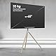 ONKRON TV Ständer Dreibein für 32-65 Zoll Fernseher bis zu 35 kg, Staffelei TV Standfuss höhenverstellbar, schwenkbar, Fernsehständer max VESA 400x400, Standfuß Tripod aus Holz Weiß TS1220-W