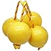 Jersvimc 2 Pair Aslatua Shakers Kashaka Shaker Instrument, African Rhythmic Ball Hand Percussion Musical Yellow Shaker Balls for Adults