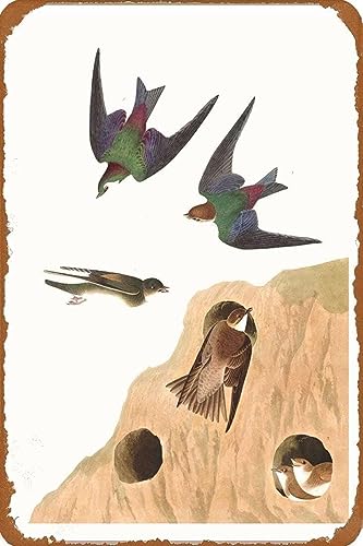 AJ AeB[N Ŕ̃uLŔ 20X30cm sX[͏ёA[g10 x 13.5C` Be[W uL Ŕ AJ W 20X30cm