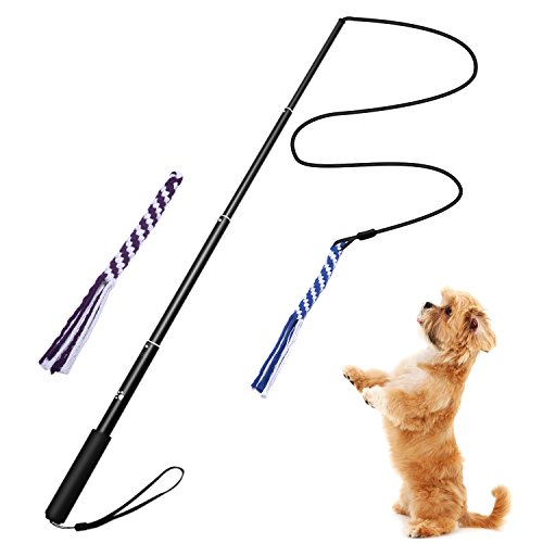 ANG Dog Flirt Pole,Extendable Dog Teaser Wand with 2 Replacement Chew Tail Rope,Interactive Dog Outdoor Toy for Training,Exercising(Black Large)