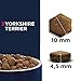 Eukanuba Breed Specific Yorkshire Terrier Trockenfutter - optimal auf die Rasse abgestimmtes Premium Hundefutter mit Huhn, 2 kg