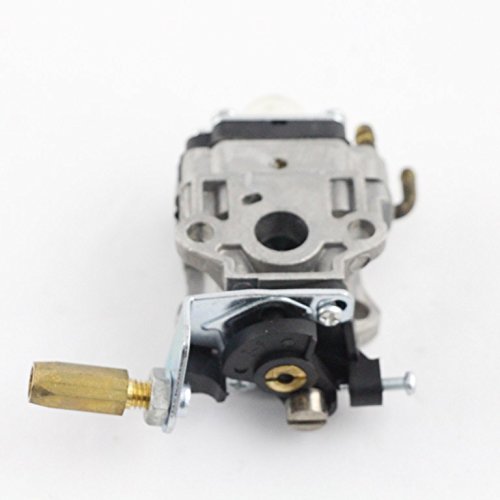 Amazon.com: Echo 12300057731 Snowblower Carburetor Genuine  