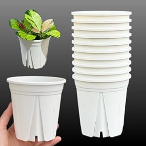 Amazon.co.jp: 鉢 - 鉢・プランター用品: DIY・工具・ガーデン