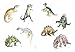 Realistic Dinosaurs Stickers (Dover Little Activity Books: Dinosaurs)