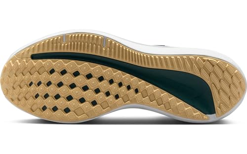 Image of Nike Men's Air Winflo 10 Trainers