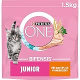 Purina ONE Katzenfutter Trocken Junior Huhn - Vollkorngetreide 1,5 kg