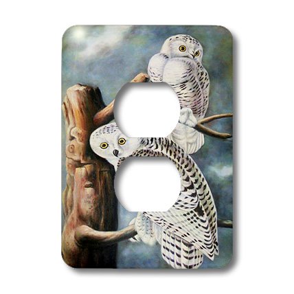 Interrupteur Snowy Owl Audubon pour masquer imperfections et décorer vos murs