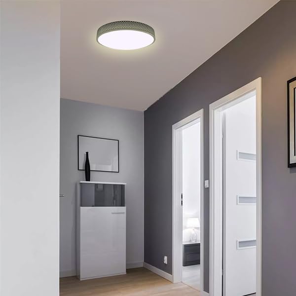 14 Inch LED Flush Mount Ceiling Light Fixture - TRIAC Dimmable - 25W Power, 2300LM - Modern Ceiling Light for Bedroom, Kitchen, Bathroom, Home & Office - ETL Certified - Silver