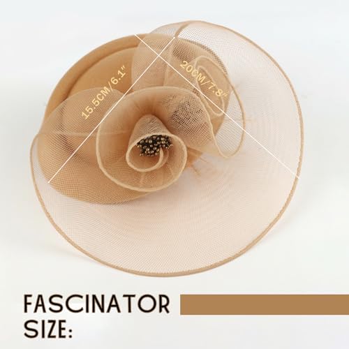 Image of DRESHOW Fascinators Hat Feather Headband Women's Fascinators Tea Party Headwear with Clip Flower Head Band for Girls & Women