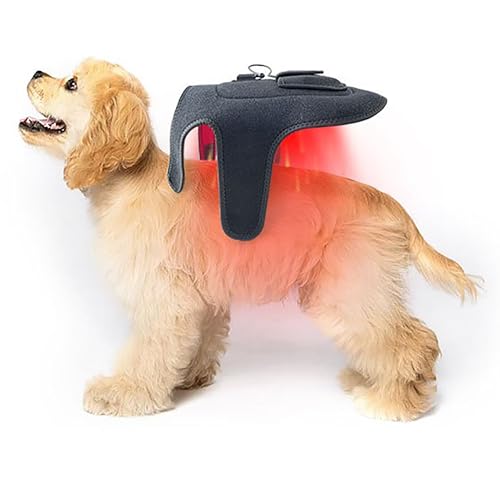 Cinturón de Terapia de Luz Roja e Infrarroja para Perros & Gatos – Dispositivo Portátil para Alivio del Dolor, Cicatrización de Heridas y Cuidado Articular, 42 LED