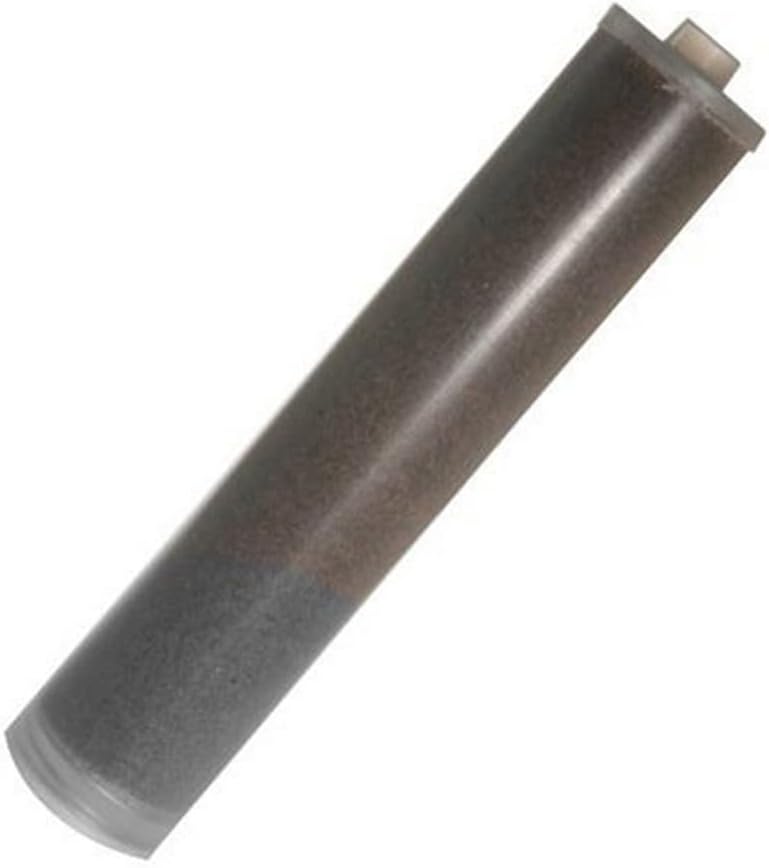 Evoqua W3T184684 Organic Removal Filter, Clear