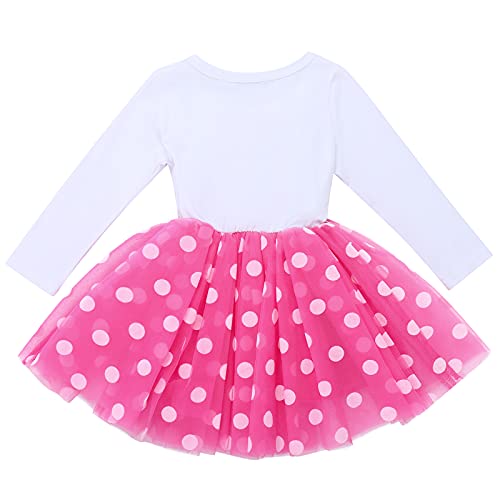 Winter Birthday Outfit Girl My Second Birthday Mini Dress Cake Smash Outfit Baby Tulle Tutu Skirt Autumn Long Sleeve Mouse 2Nd Birthday Themed Party Supplies 2 Years Old Photoshoot Polka Dots Hot Pink #TOP1