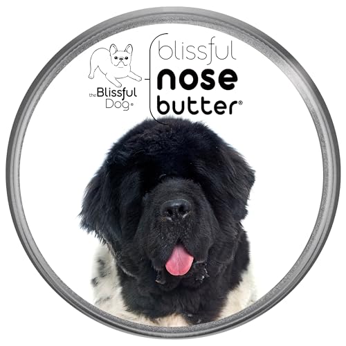 Image of The Blissful Dog Landseer Newfoundland Nose Butter