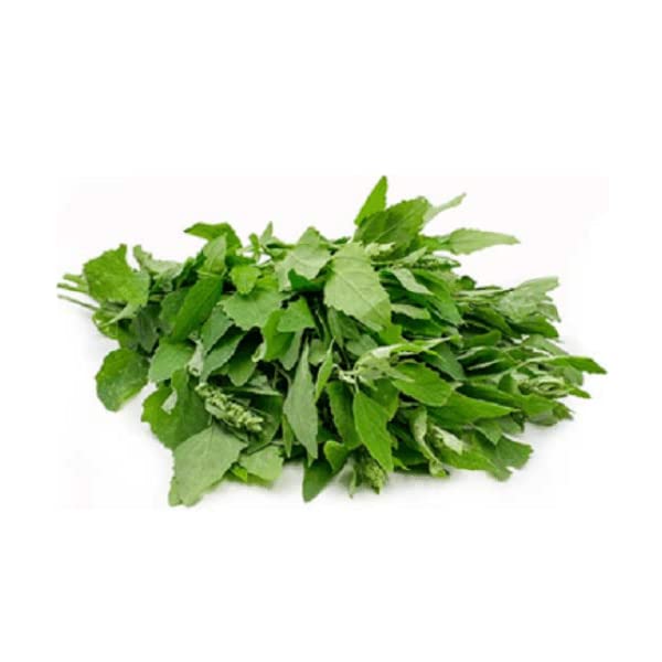 Bathua Seeds Hybrids F1 Vegetable Seeds for Home Garden for Planting for All Season (50 seeds) By Zabbus (B0BHQCHQKZ) Amazon Price History, Amazon Price Tracker