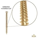 SEQUAL® 40mm Easy Drive Countersunk Concrete Screws (Pack of 20) - No Plugs Needed, Torx Head, T30 Torx Driver Bit Included - Image 7
