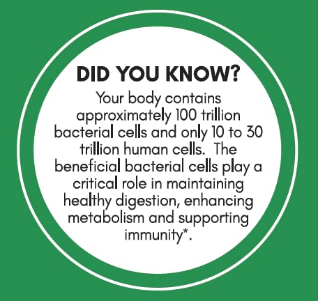 GOLIVE Matcha Ginger Prebiotic and Probiotic 0 28 OZ — view 6