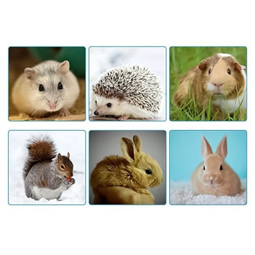 Rede Para Pequenos Animais | Esconderijos Para Esquilos | Habitat e Esconderijos Para Brincar e Dorm