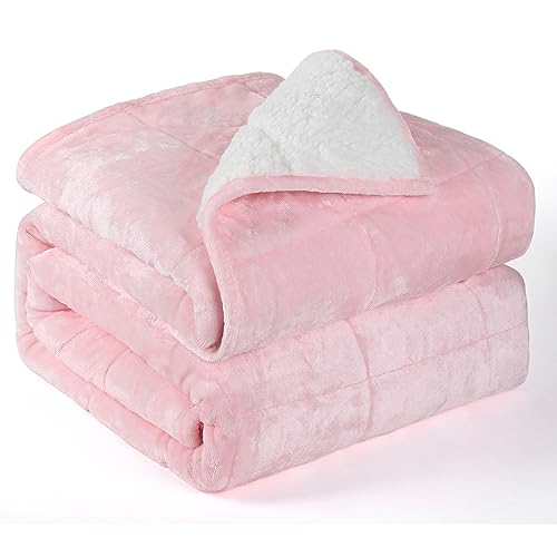 Alomidds Weighted Blanket Queen Size 20lbs 60 x 80 inches,Adult Weighted Blankets with Soft Plush Fleece,Fluffy Thick Warm Sherpa & Cozy Flannel Microfiber Heavy Blanket for Sofa Bed,Pink by Alomidds - Used condition - US$39.21