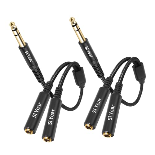 image for SiYear 1/4