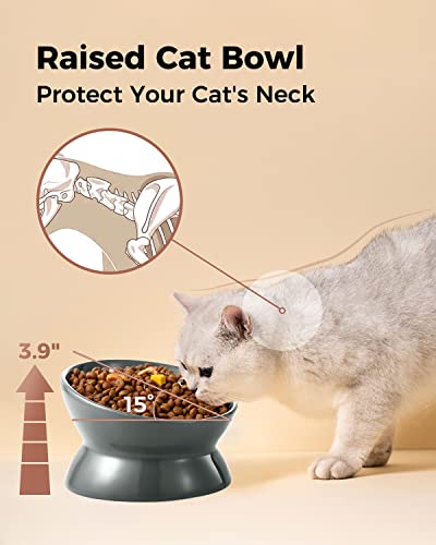Image of LoeJan Elevated Cat Food Bowl, 5 Oz Ceramic Raised and Tilted Water Bowl, Anti Vomiting and Protect Pets' Spines Dishes for Small Dog, Fat Faced Cat, Kitten (Gray, 1 Pack)